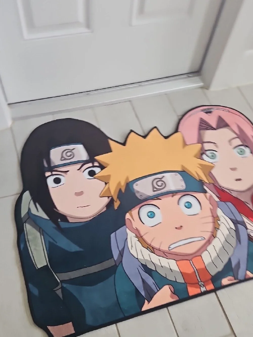 N/A anime door